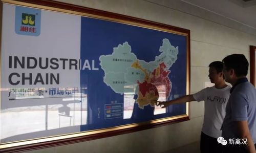 國雞侶行丨湘佳牧業 兩大秘訣實現生鮮國雞銷售9億元